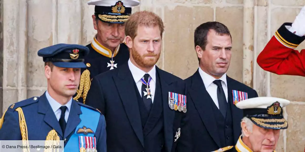 Prince Harry : bientôt des excuses du prince William et de Charles III ? Il peut attendre ! - Gala