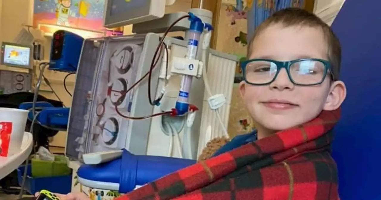 Kirkintilloch boy undergoes life-changing kidney transplant at Glasgow hospital