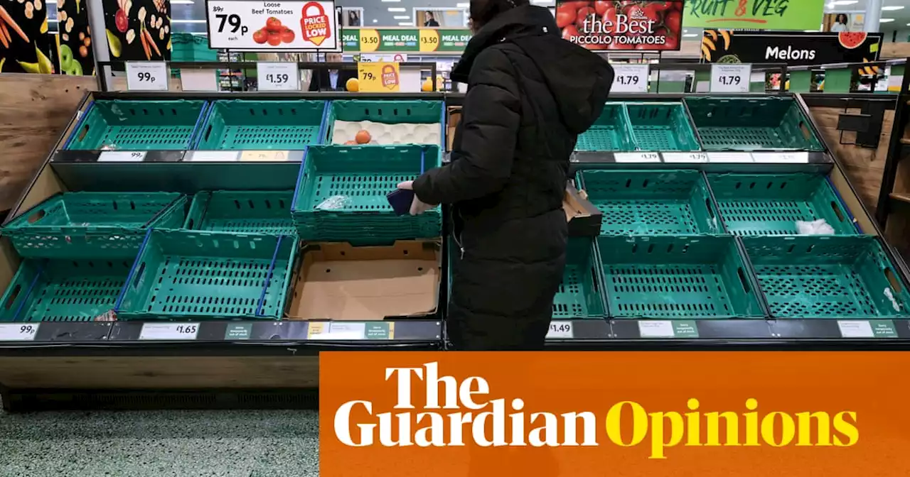 Blame the weather and Brexit. But there’s more to this food crisis | Jay Rayner