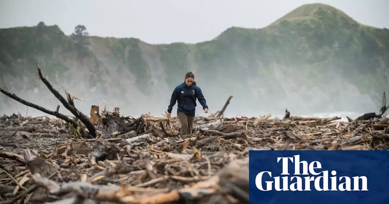 ‘Like a tsunami’: the role of forestry waste in New Zealand’s cyclone devastation