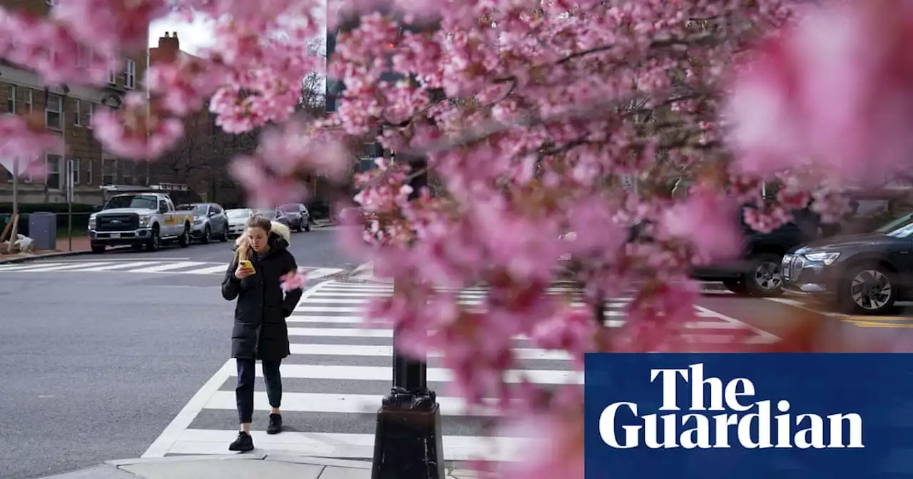 Parts of US see earliest spring conditions on record: ‘Climate change playing out in real time’