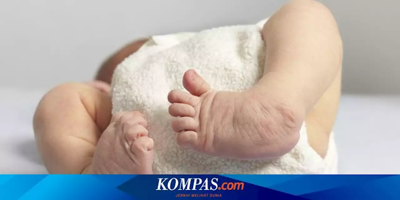 Cara Daftar BPJS Kesehatan Bayi Baru Lahir dan Syaratnya