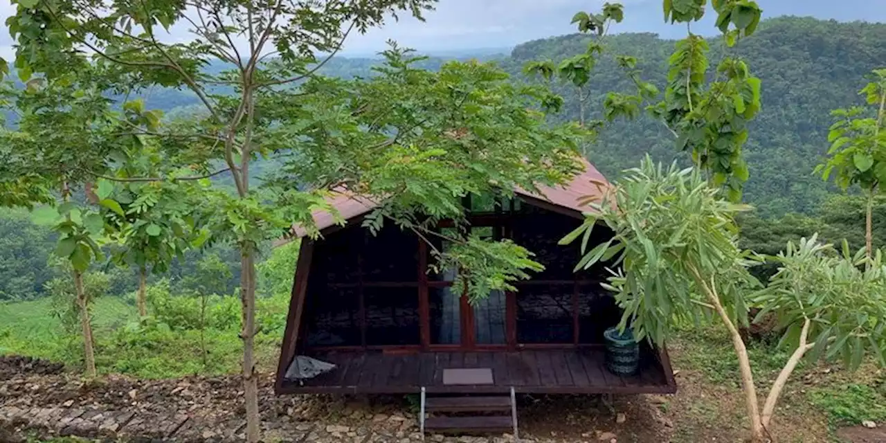 Langkah Jitu Memulai Bisnis Glamping, Pemula Wajib Tahu