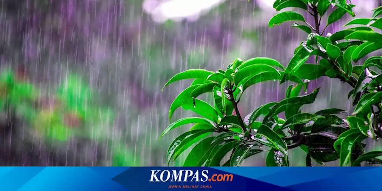 Prakiraan Cuaca di Surabaya Hari Ini 25 Februari 2023 : Pagi Hujan Ringan, Malam Cerah Berawan