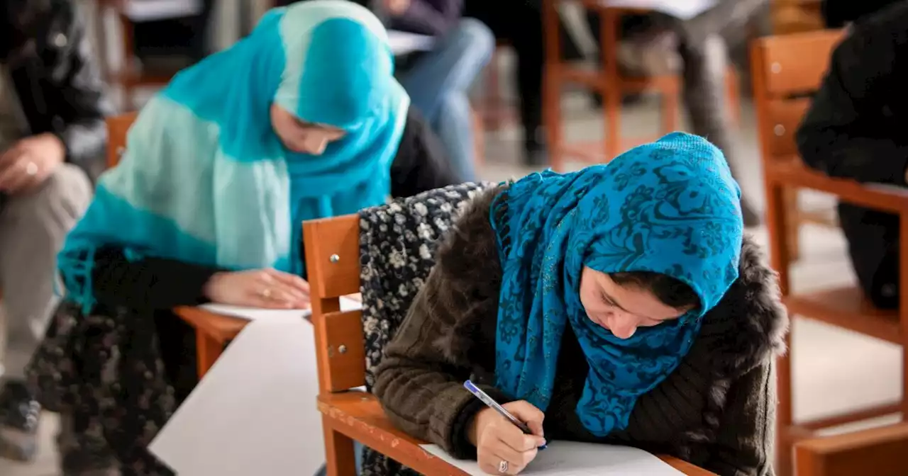 The Taliban ended college for women. Here's how Afghan women are defying the ban