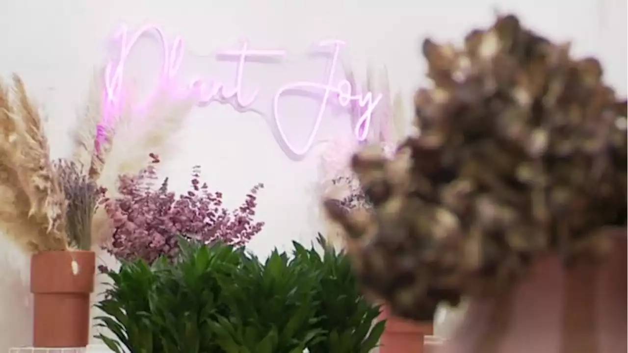 First Black woman-owned plant shop in Texas opens its 3rd location in Houston