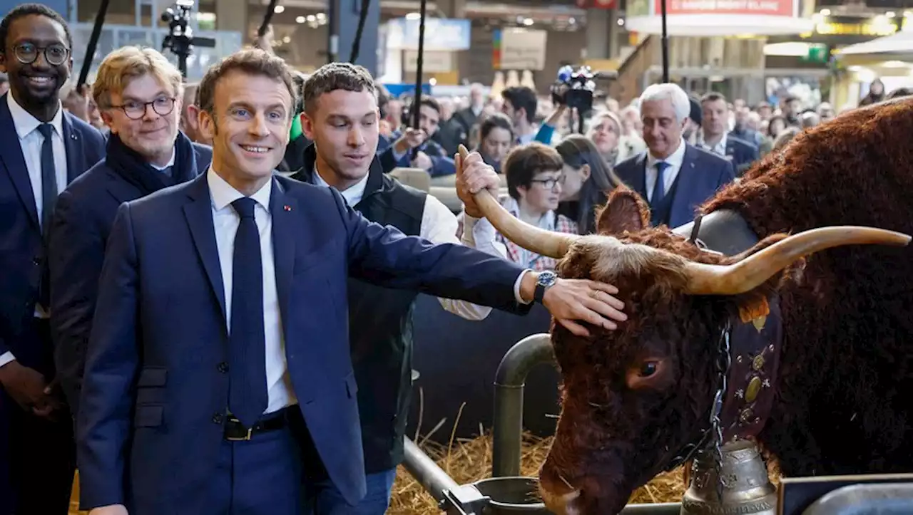 Sécheresse : Macron appelle à un 'plan de sobriété' sur l'eau au Salon de l'Agriculture