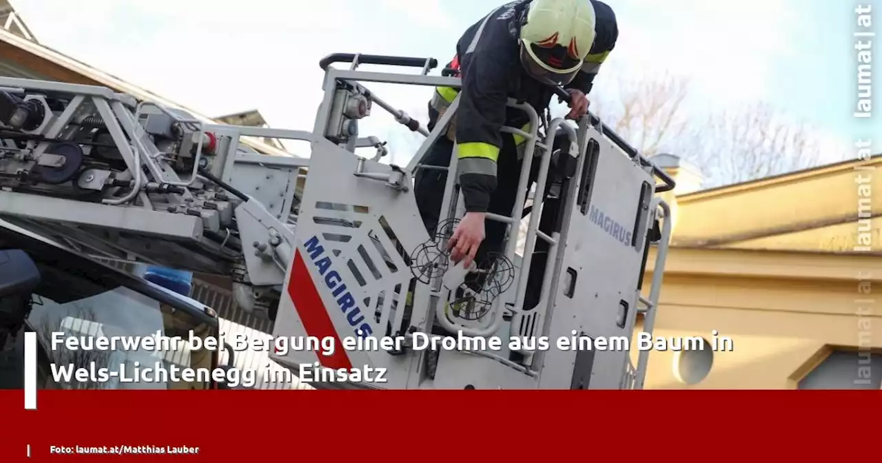 Feuerwehr bei Bergung einer Drohne aus einem Baum in Wels-Lichtenegg im Einsatz | laumat|at