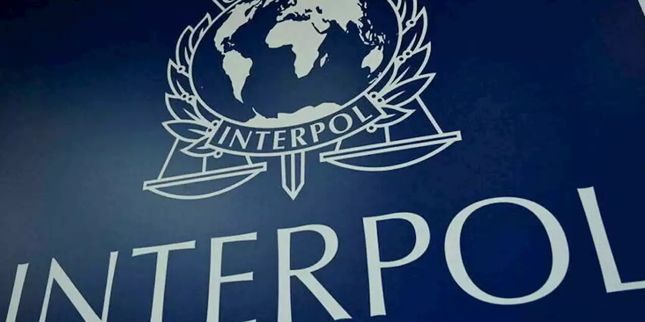 Cette Française était recherchée à tort par Interpol pendant dix ans