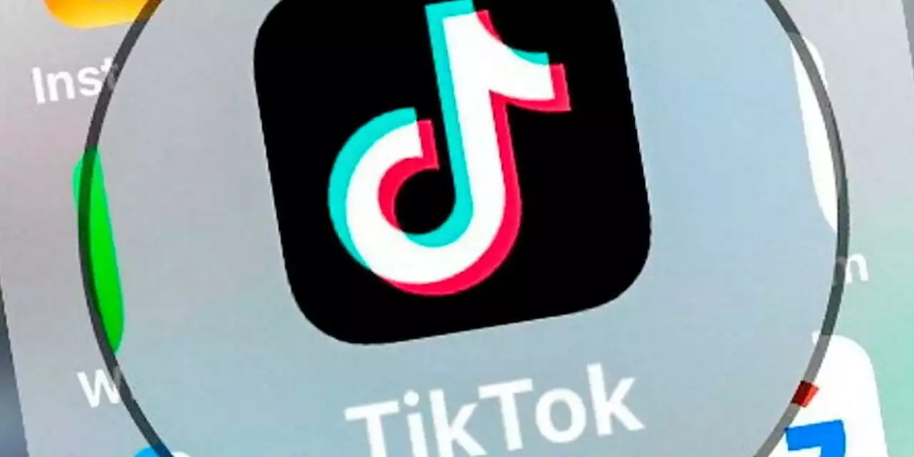 Ils rendent le droit sexy sur TikTok