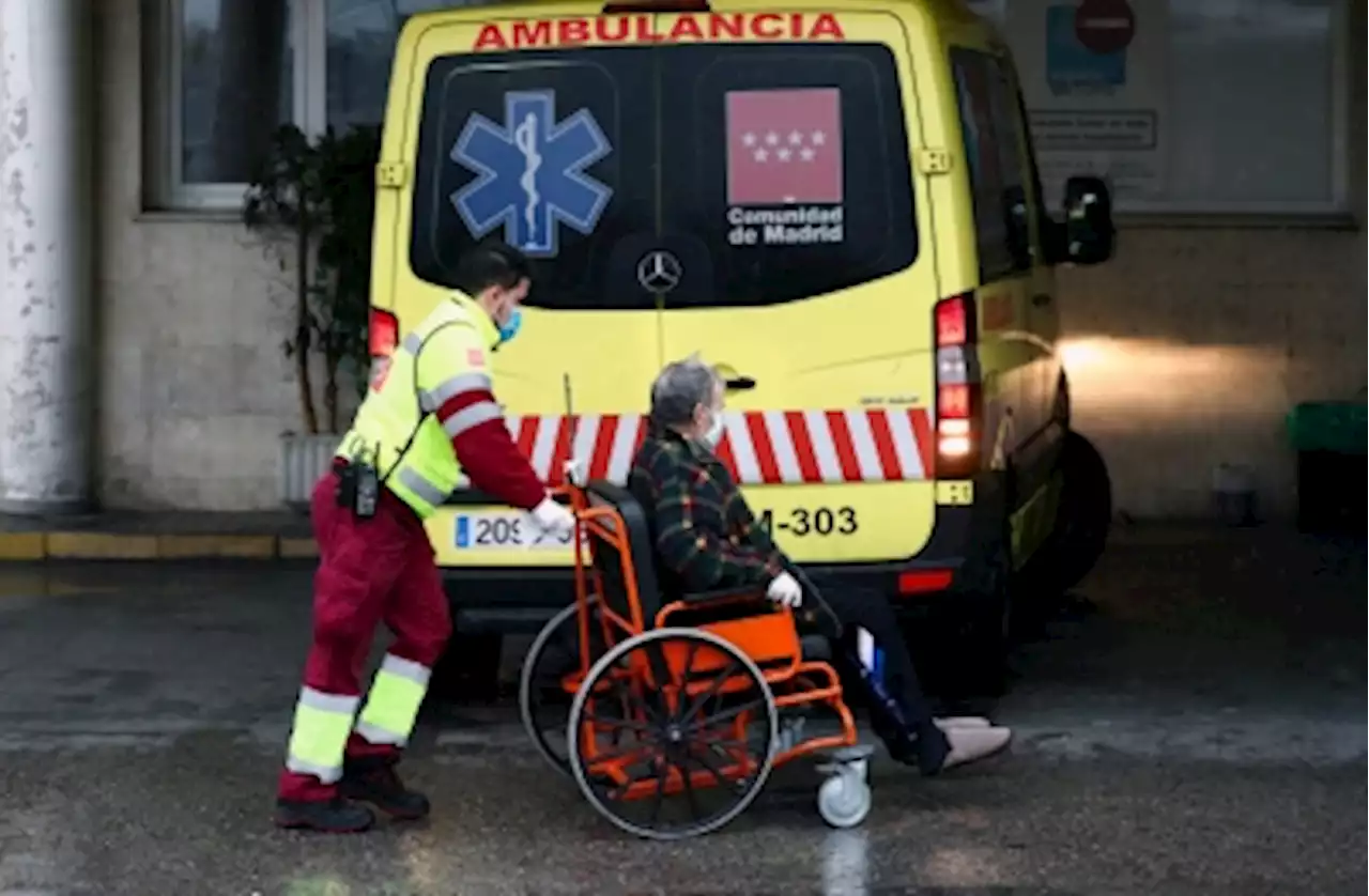 Spanish authorities detect first suspected case of Marburg disease