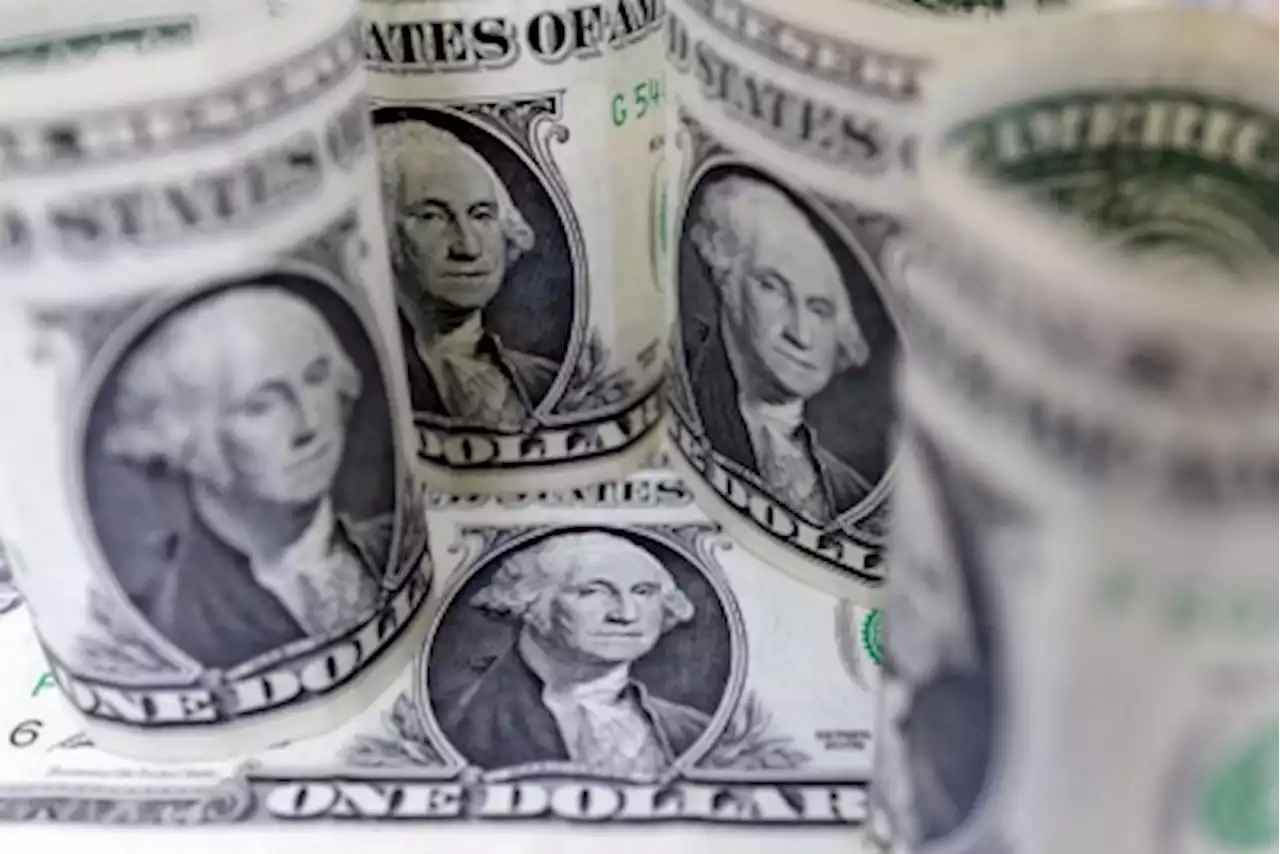 US dollar holds seven-week high after strong inflation data