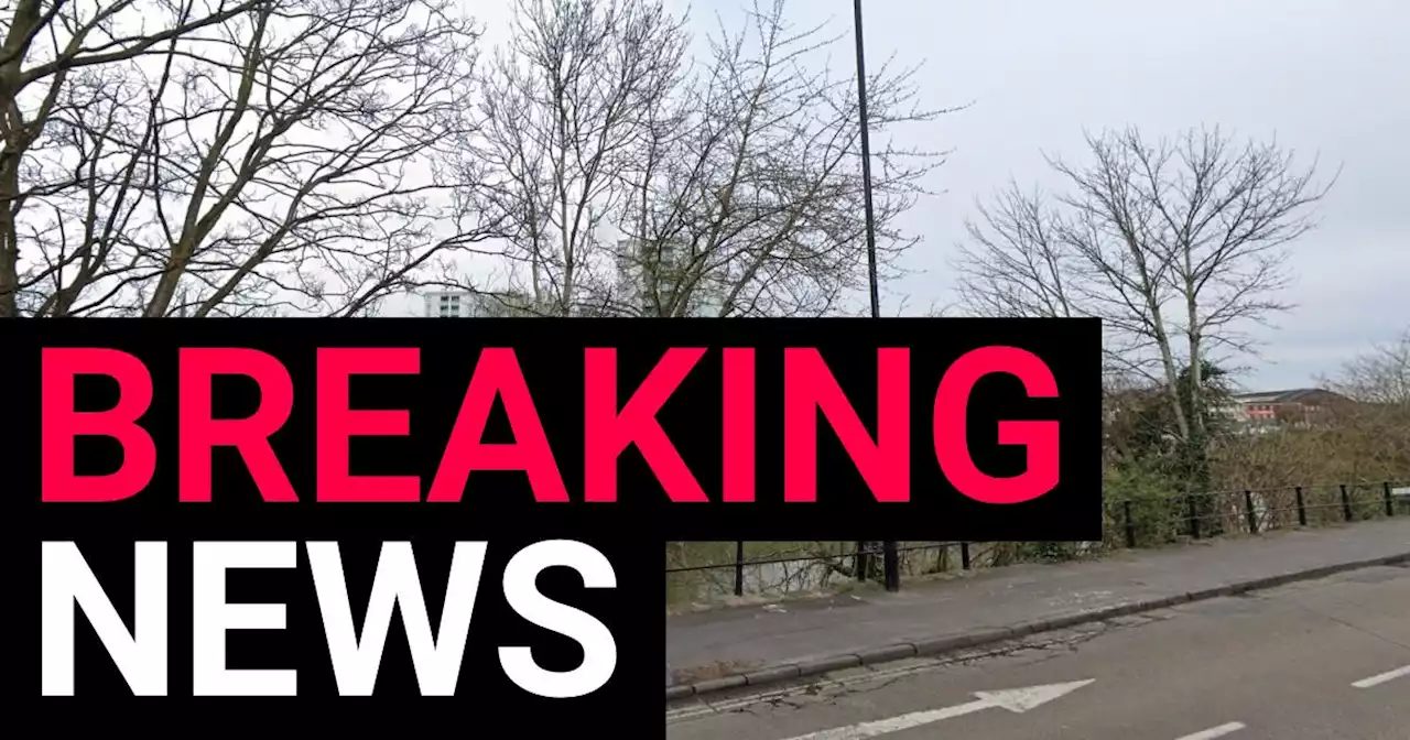 Man dies after car crashes through railings and into river