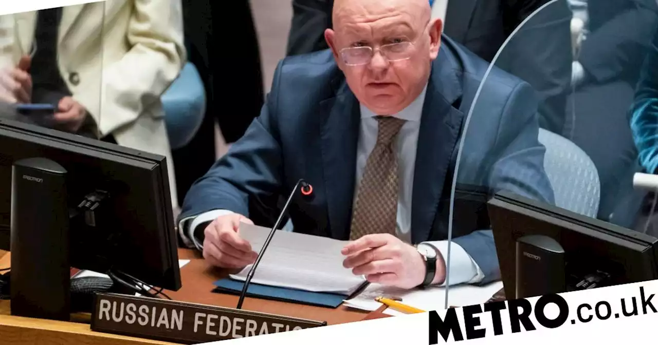 Russia's UN envoy interrupts minute's silence for Ukraine