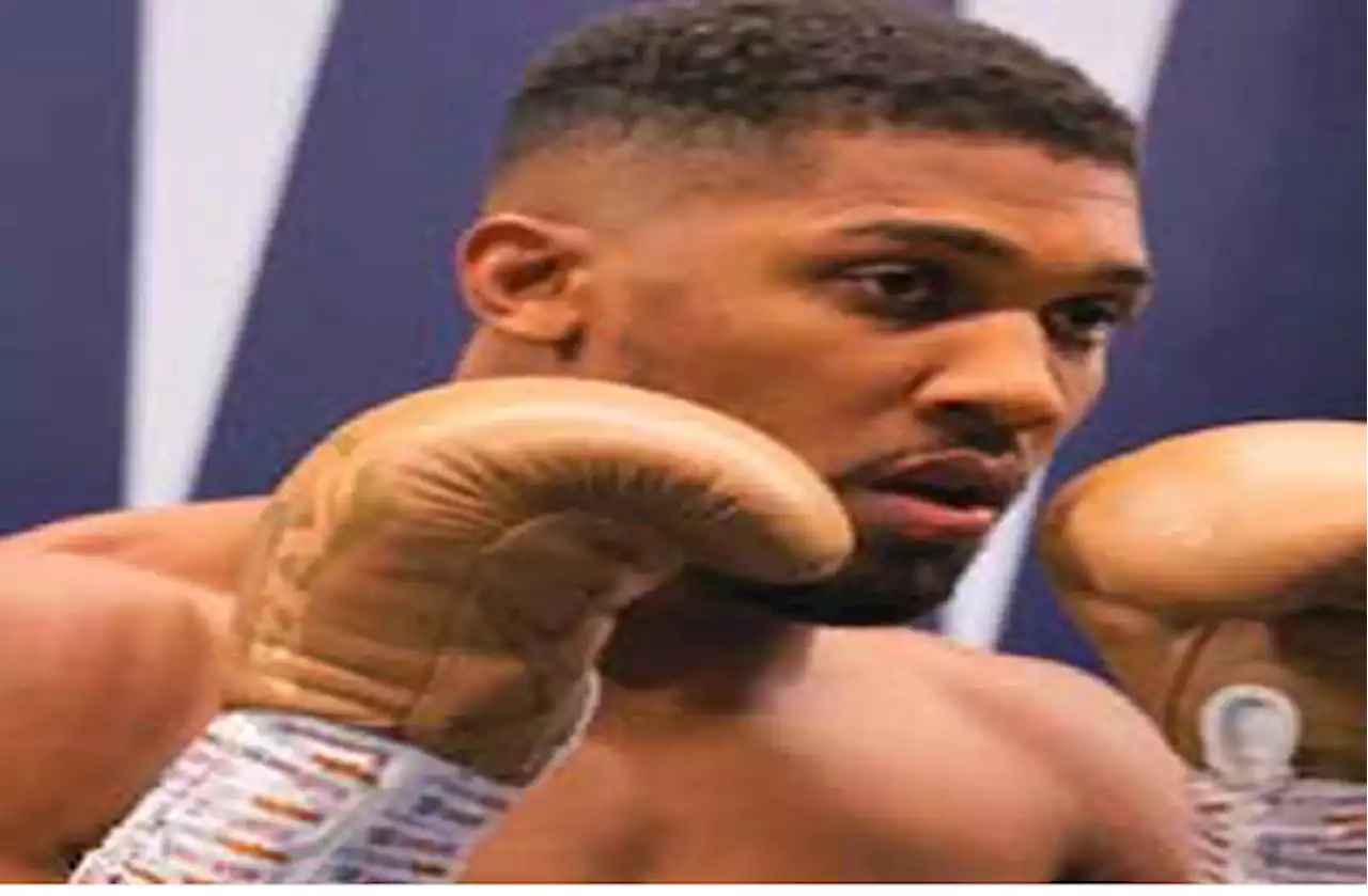 Tyson tutors Joshua on extra skills