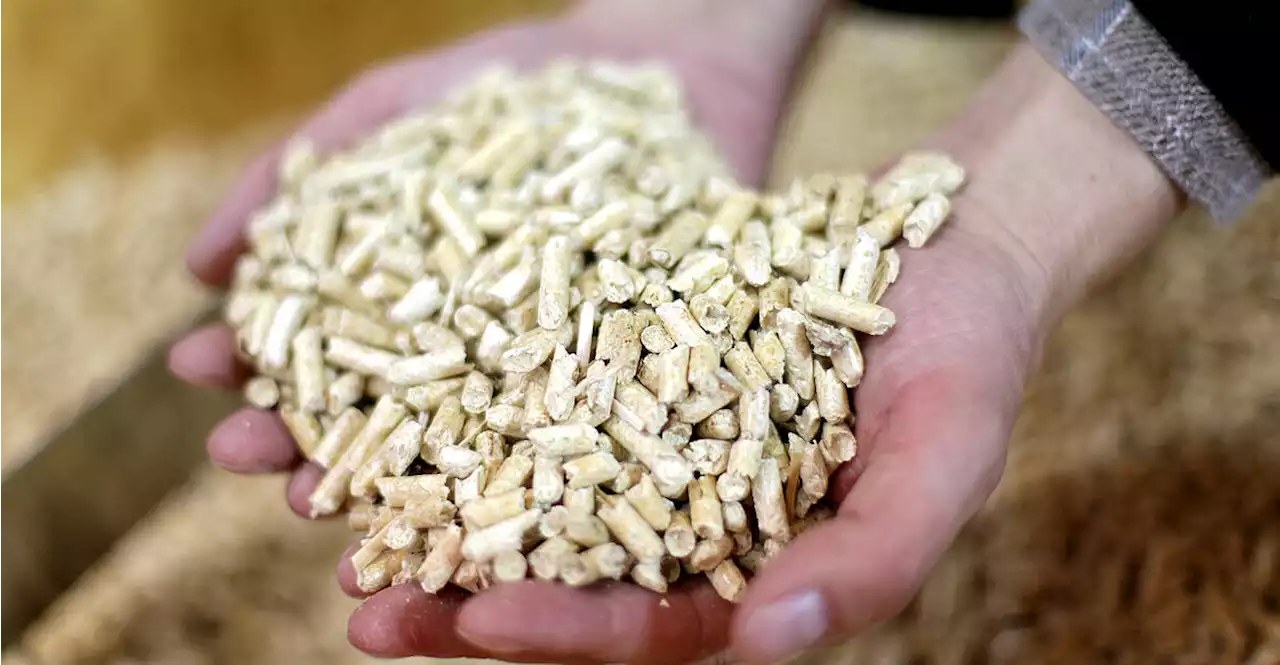 Pellets ein Drittel billiger als im Herbst, Aktionen sollten Preise weiter drücken