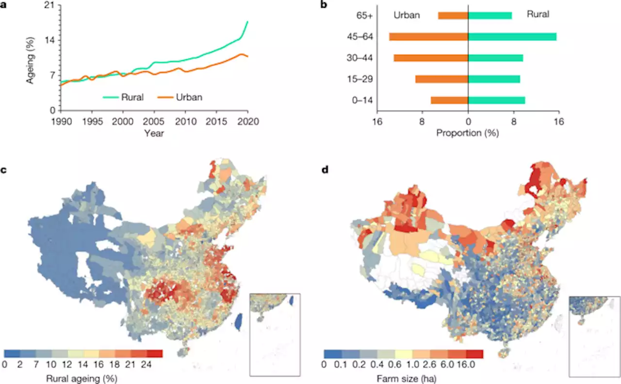 Ageing threatens sustainability of smallholder farming in China - Nature