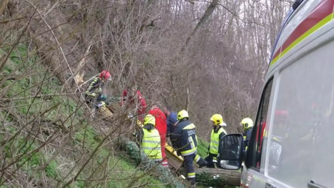 Wieder schwerer Forstunfall im Bezirk Tulln