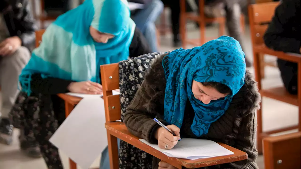 The Taliban ended college for women. Here's how Afghan women are defying the ban