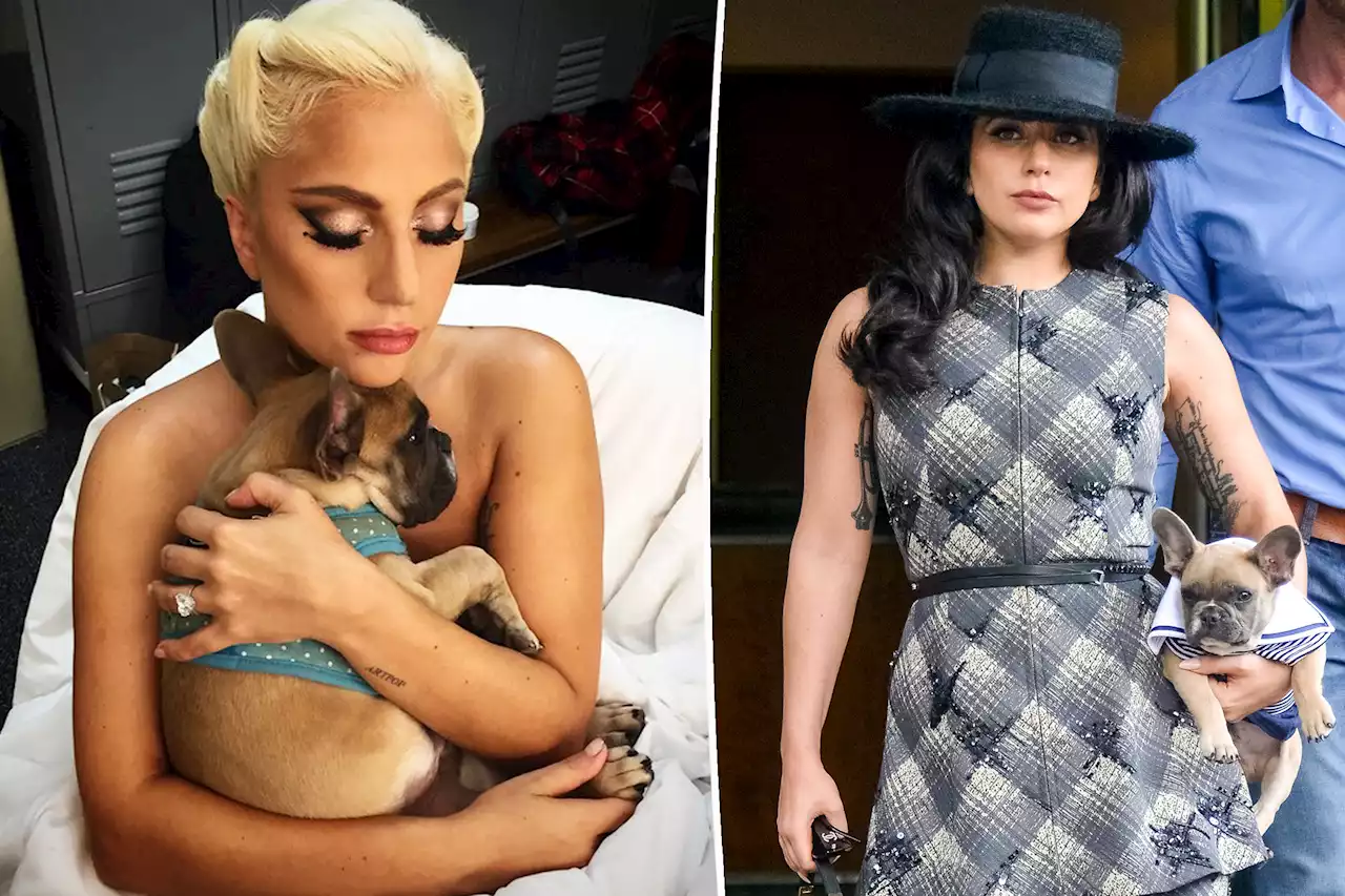 Lady Gaga sued by dog theft accomplice for not paying $500K reward: report