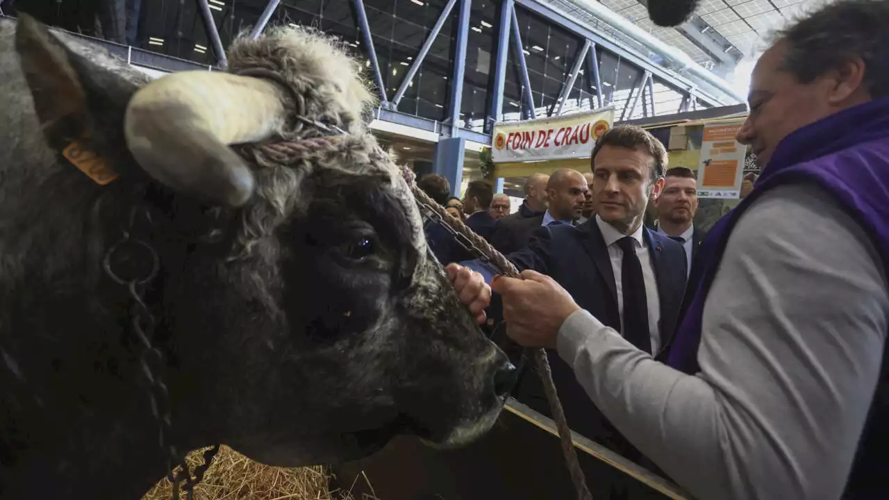 Au Salon de l'agriculture, Macron se fait protecteur du monde rural face aux bouleversements