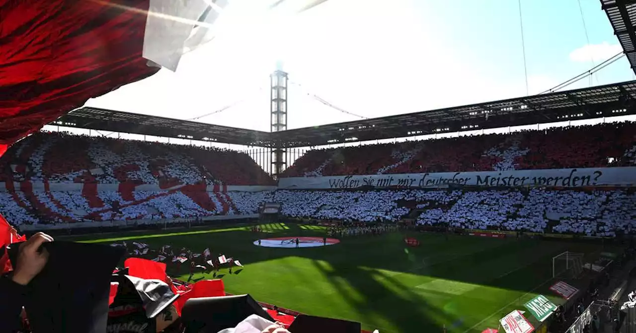 Bundesliga: Gänsehaut pur! Köln mit gigantischer Stadion-Choreo gegen Wolfsburg