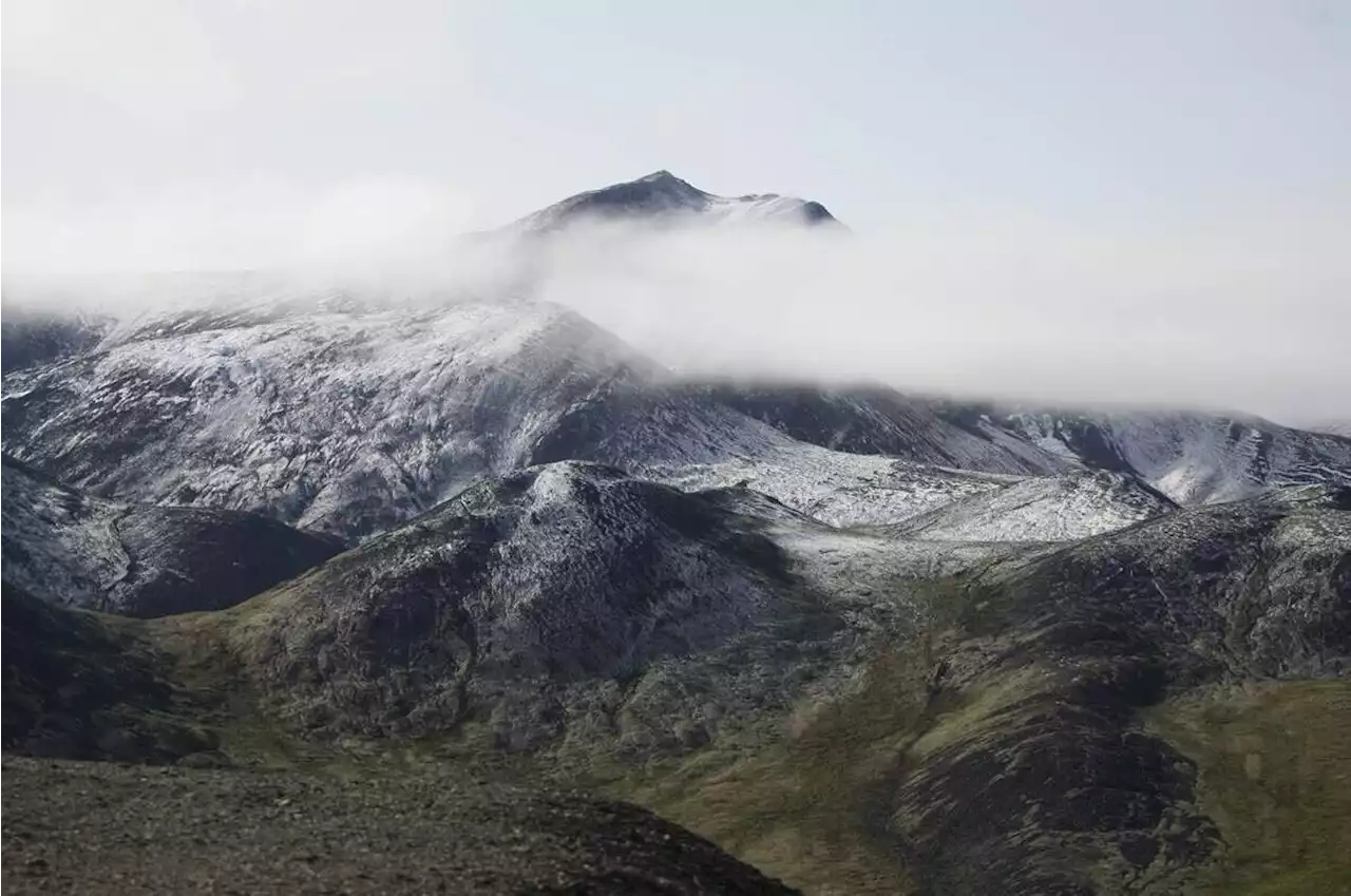 Climate change could leave Yukon plants with nowhere to go: study - Terrace Standard