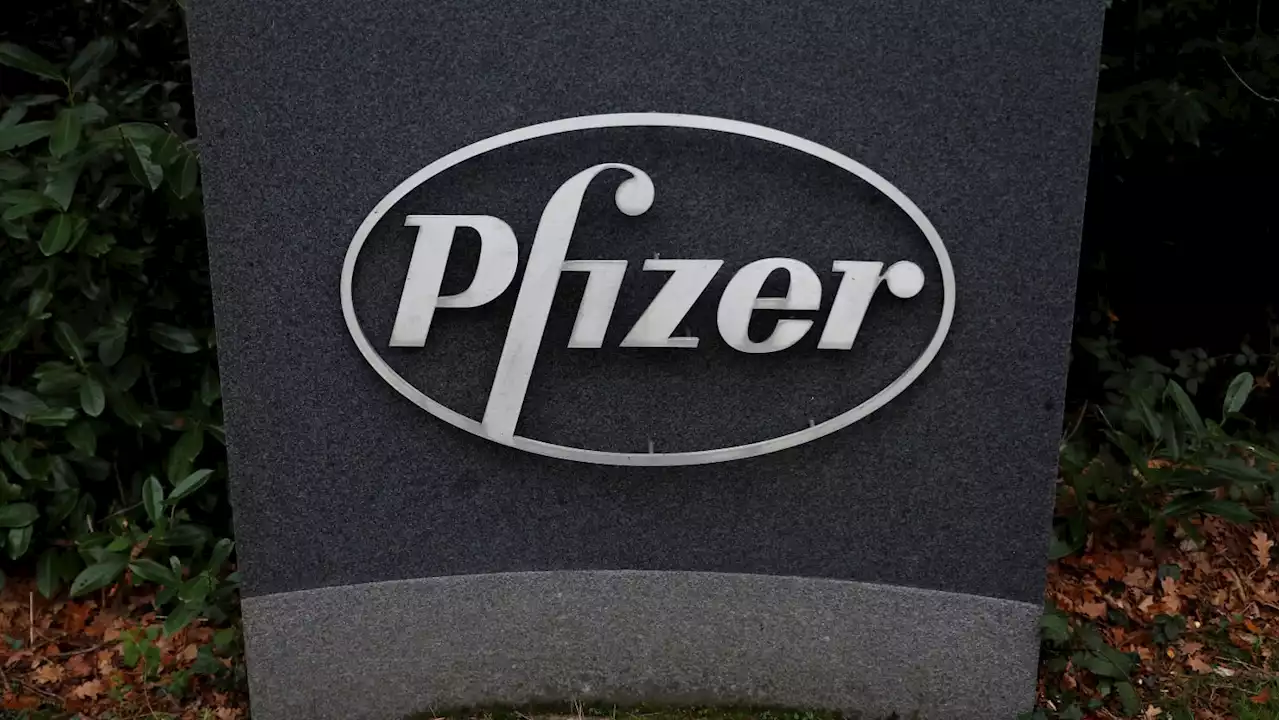 FDA Flags ‘Important Potential Risk’ in Pfizer’s RSV Vaccine