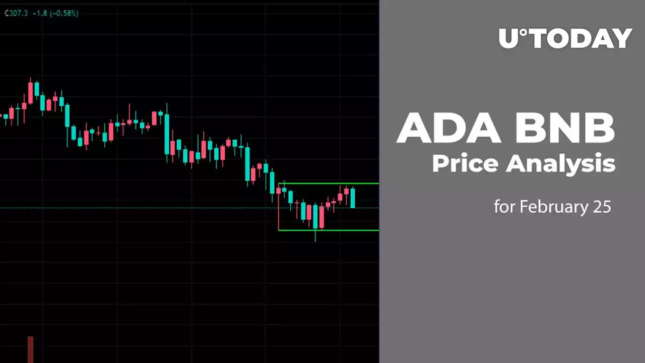 ADA and BNB Price Analysis for February 25