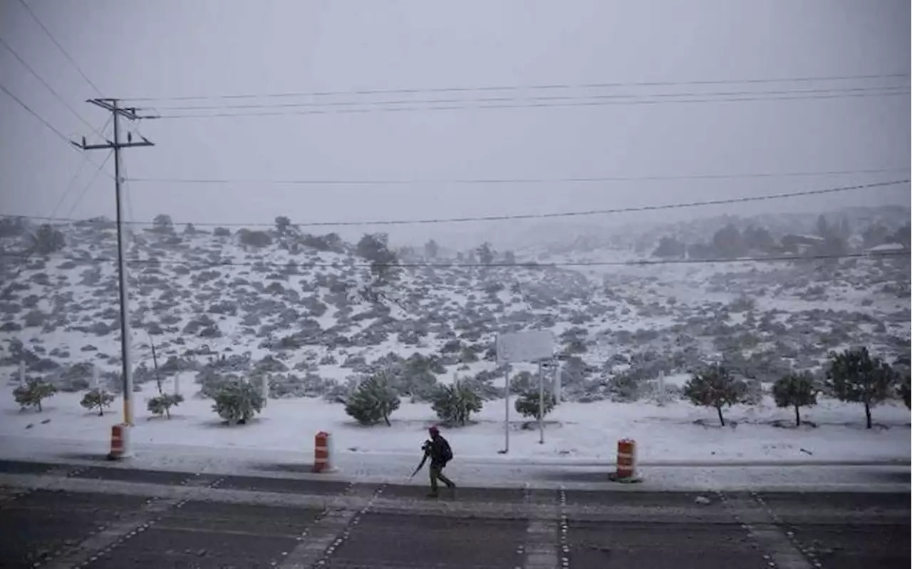 Por frente frío 36 se esperan heladas, chubascos y tolvaneras en norte de México