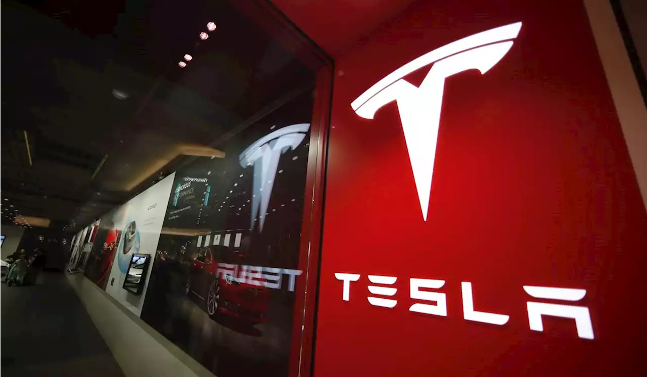 Mexican states in hot competition over possible Tesla plant