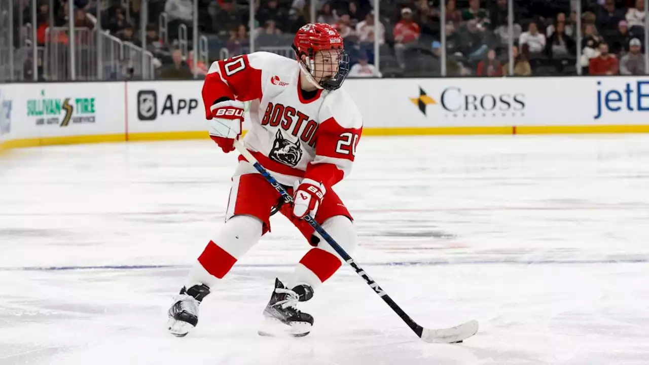 Canadiens prospect Lane Hutson is taking college hockey by storm