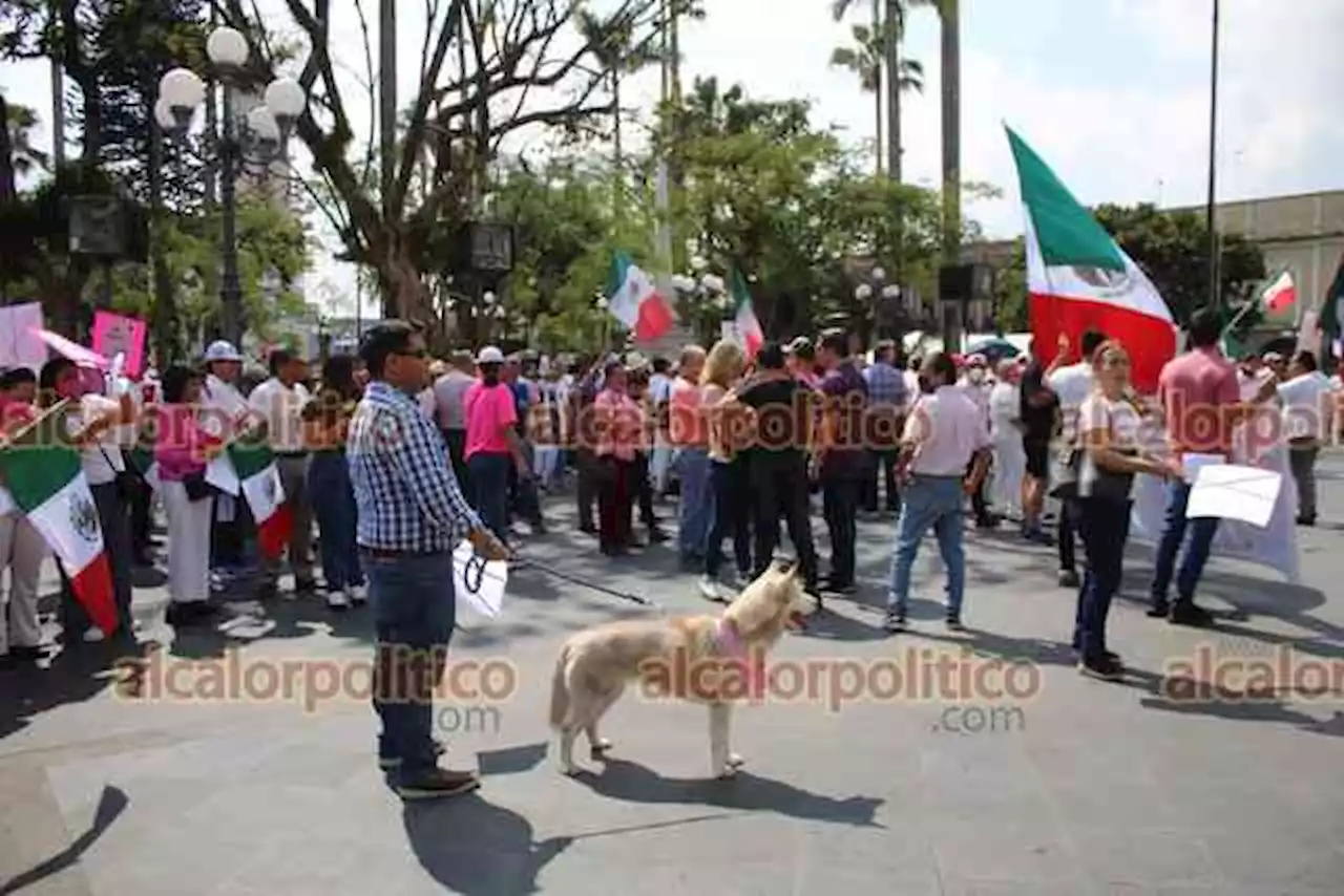 Cordobeses se reúnen en parque 21 de mayo para defender al INE