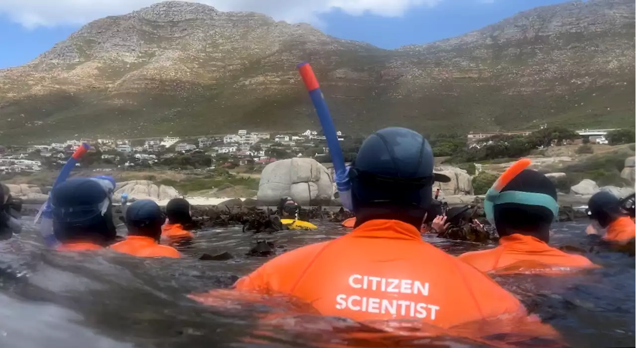 THE OCEAN RACE: Save our seas — the F1 of ocean racing delivered an important message in the Mother City