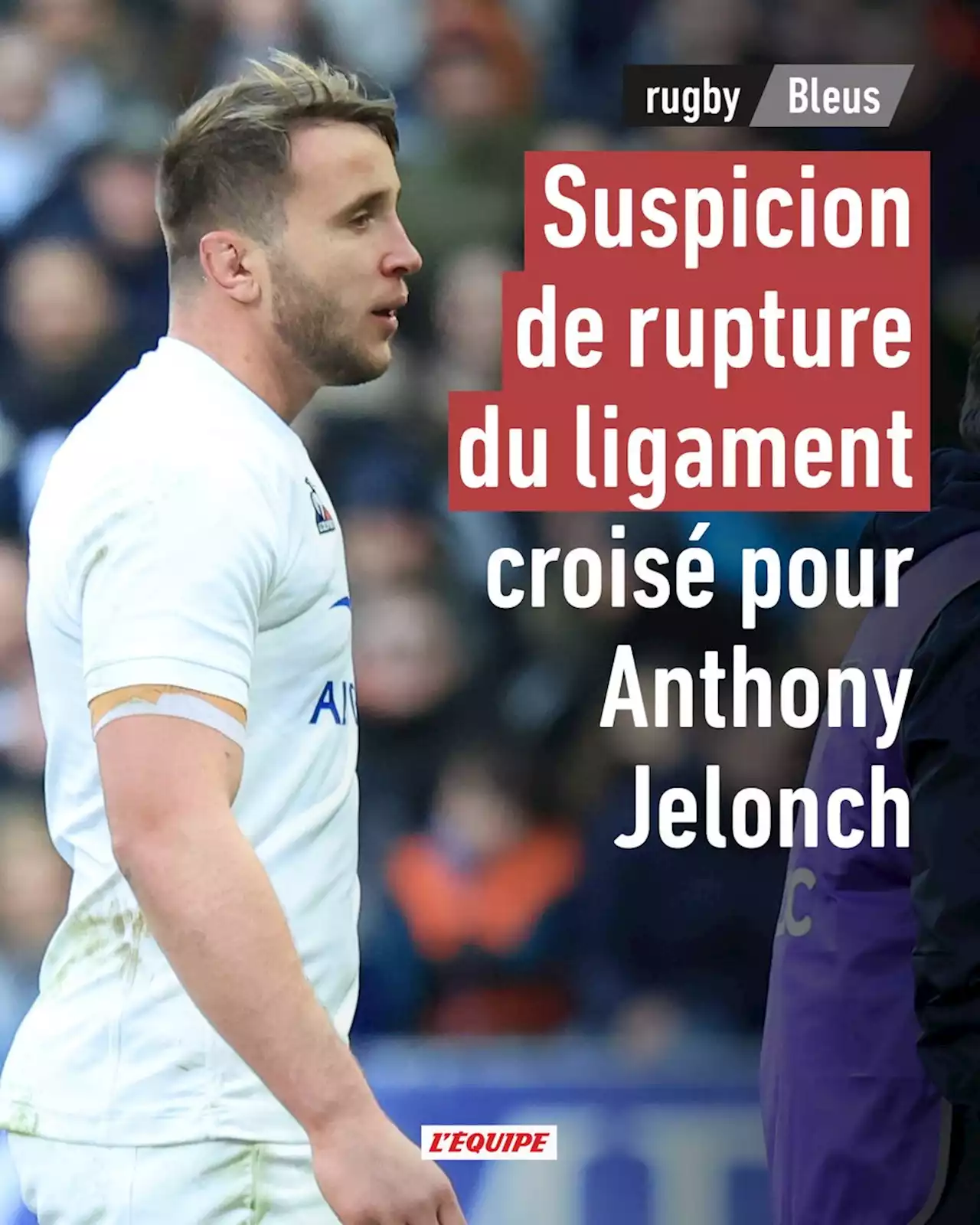 Suspicion de rupture du ligament croisé pour Anthony Jelonch