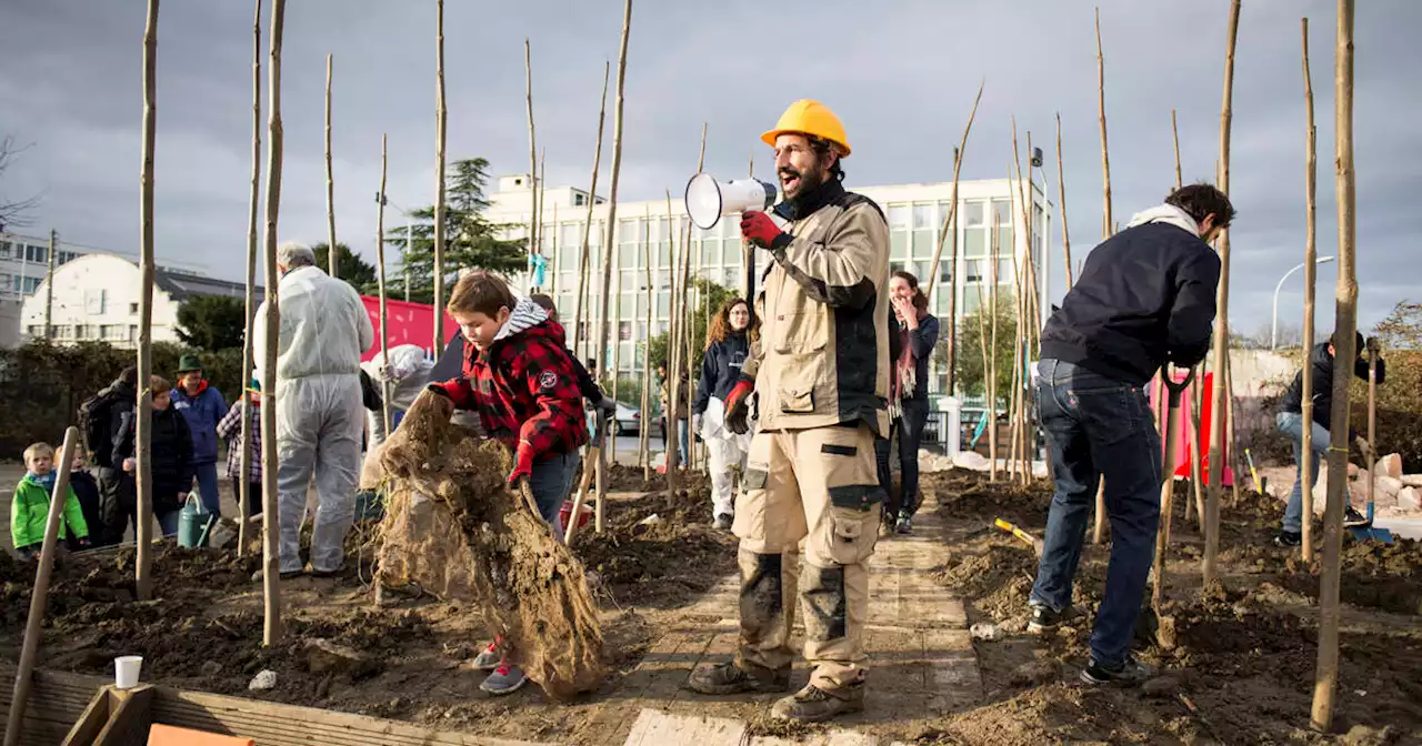 Thierry Boutonnier, le bourgeon gentilhomme