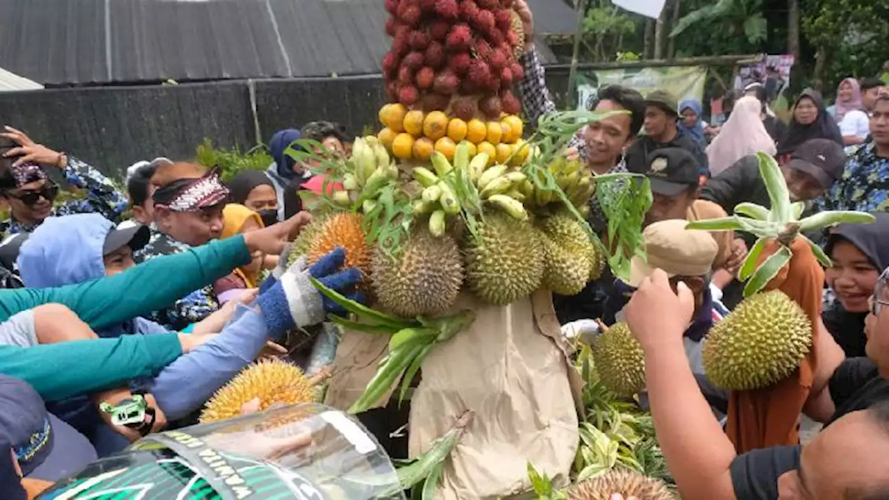 Semarak Festival Durian di Berbagai Daerah