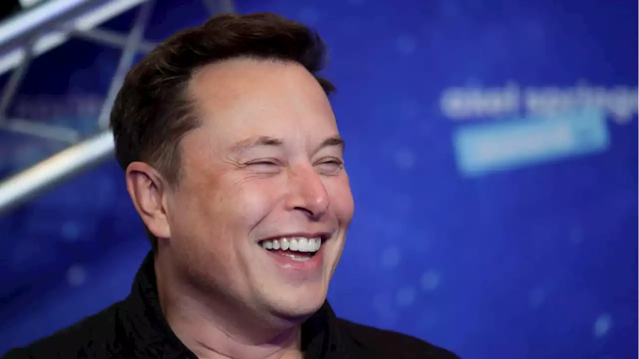 Even the Musk Loyalist Who Slept in Office Wasn't Spared in Latest Twitter Layoffs