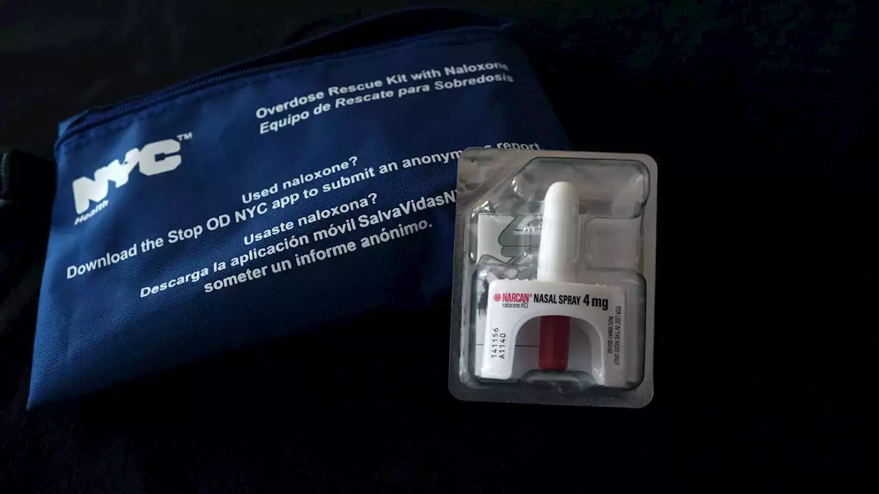 What is naloxone and should everyone have access to it?