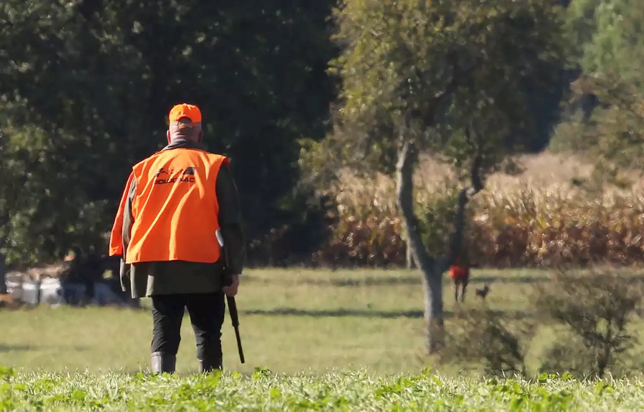 Un chasseur qui en avait tué un autre condamné à de la prison avec sursis