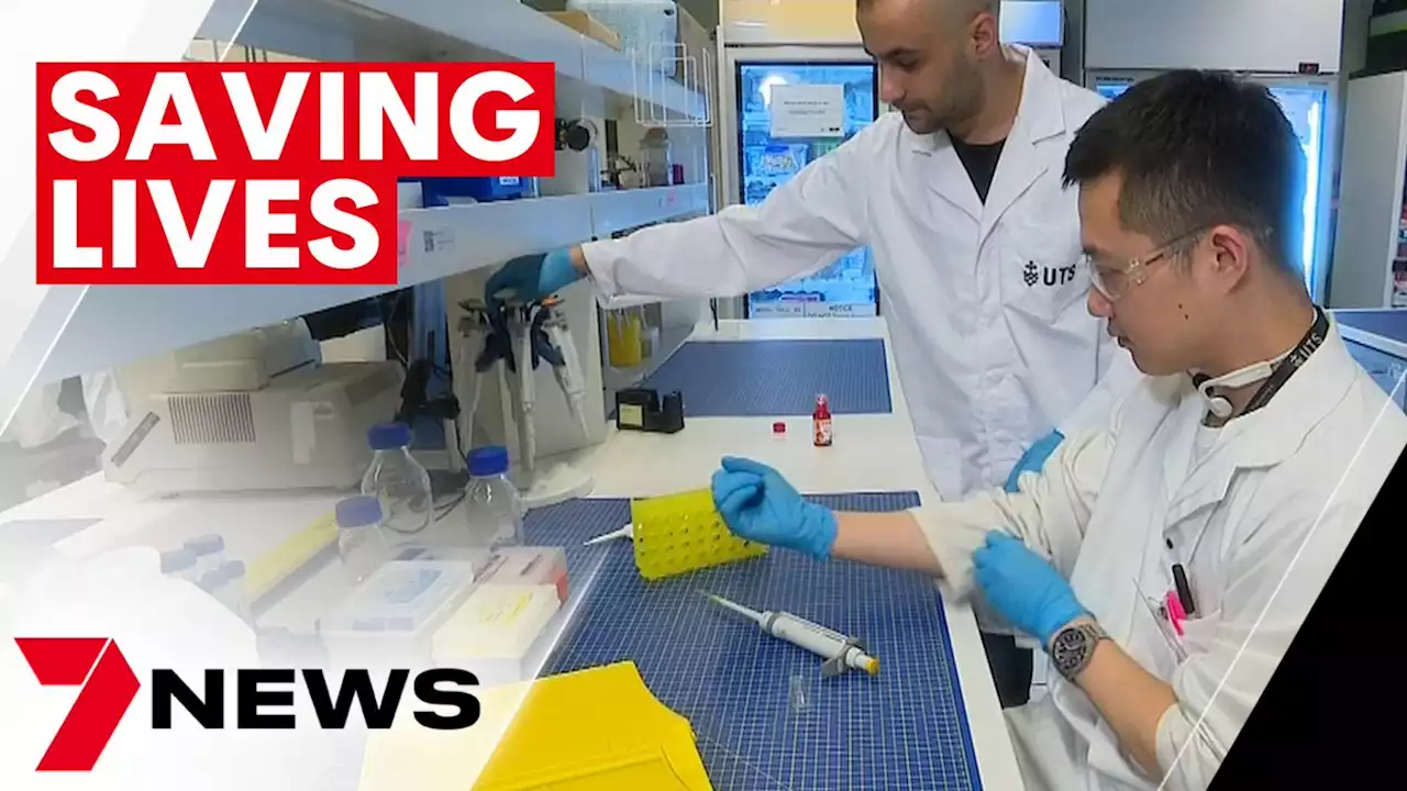 Australian invention revolutionising cancer screening | 7NEWS