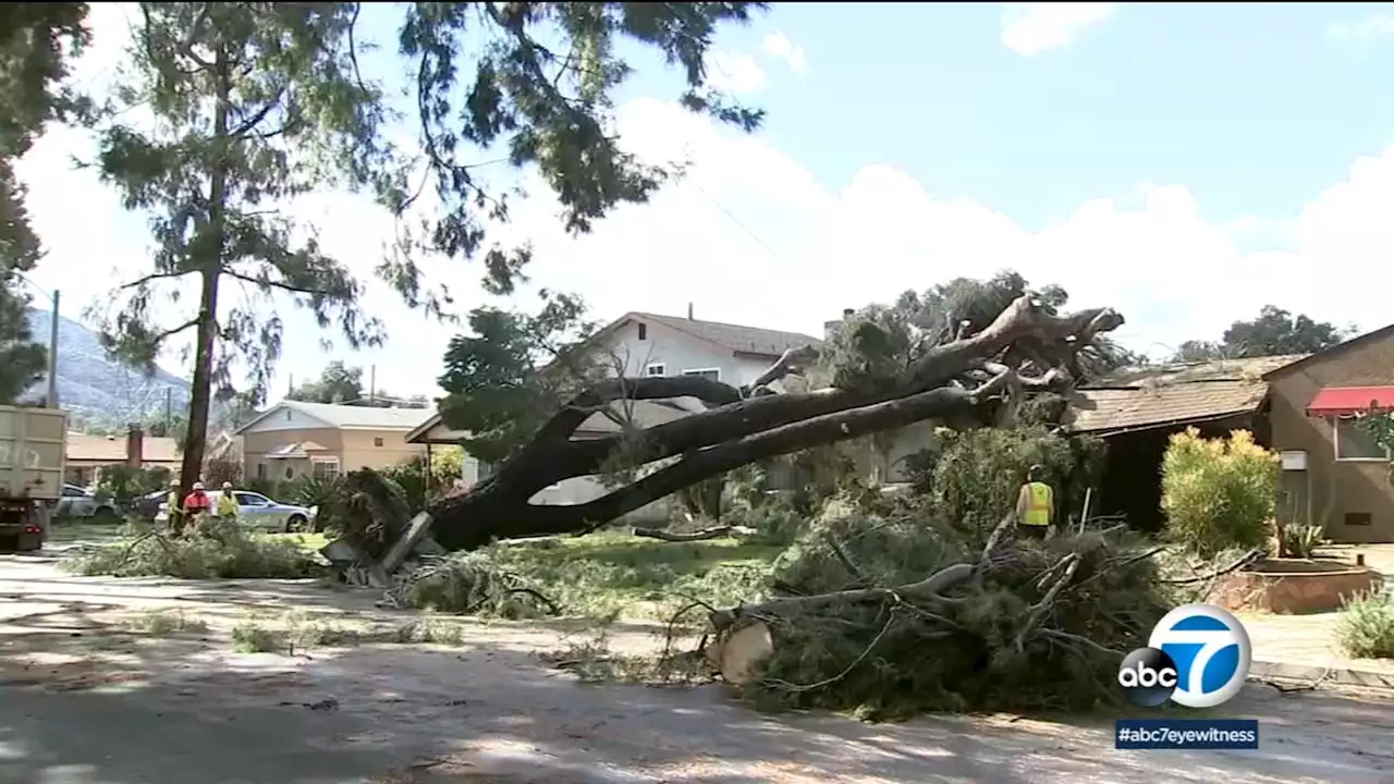 Los Angeles residents recovering from storm that knocked down trees, took out power