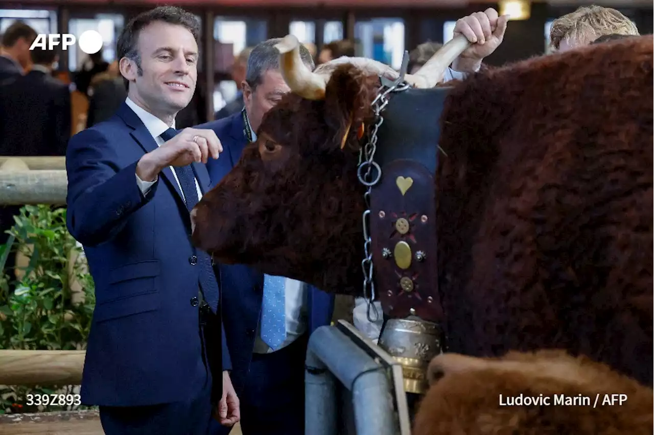 'De France et de Navarre', la ferme dans tous ses \u00e9tats au salon de l'Agriculture