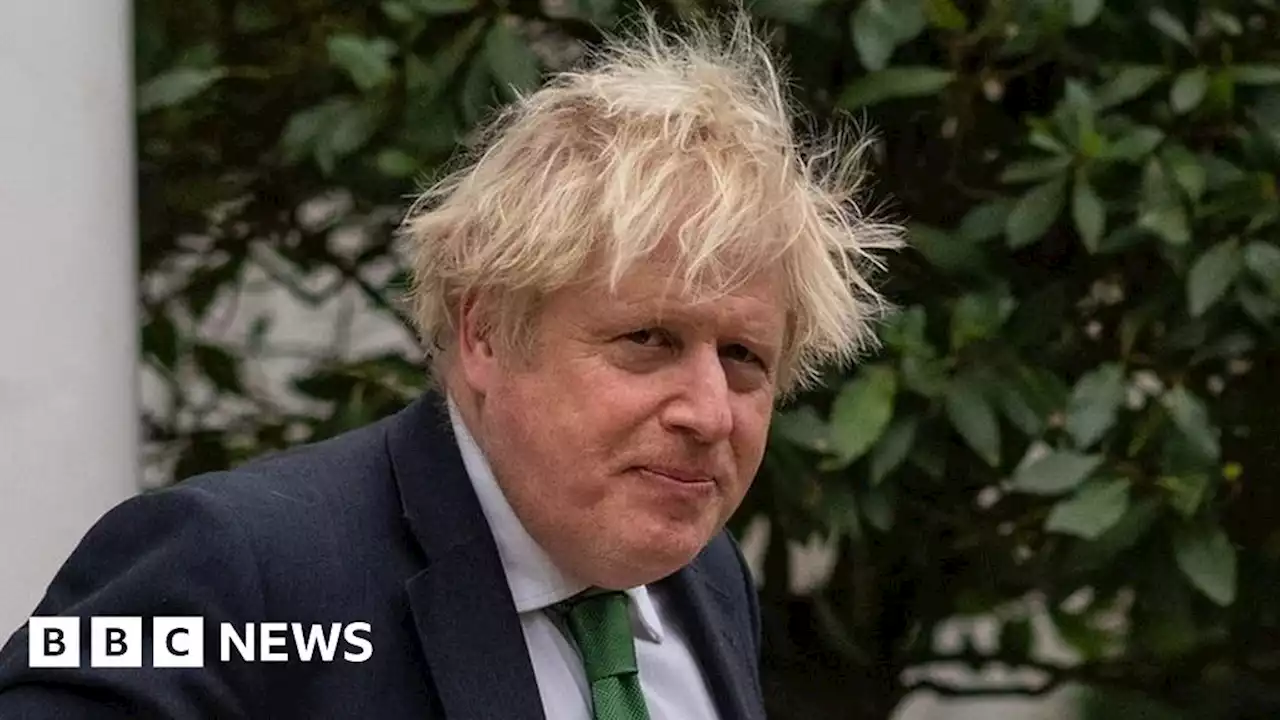 Boris Johnson: Legal support during MPs' probe extended