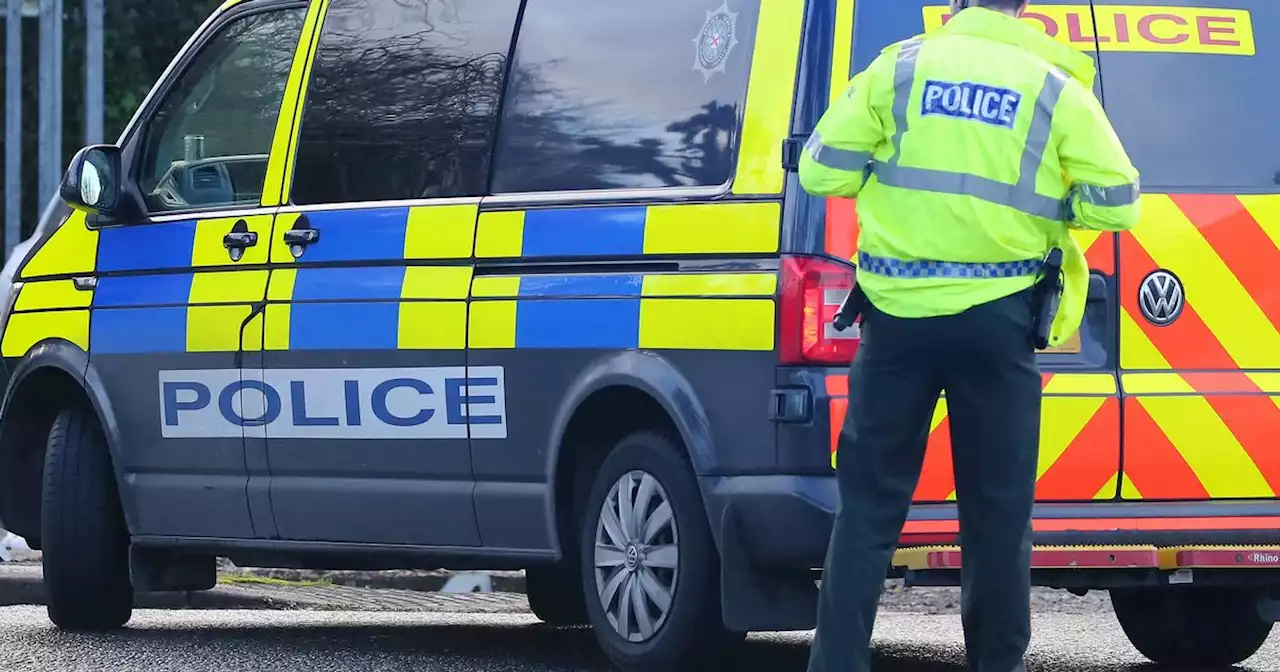 Drugs and mobile phone recovered in operation targeting West Belfast UDA