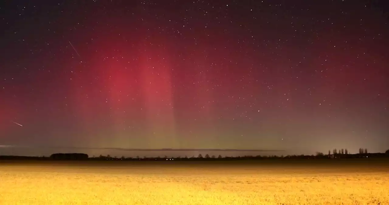 Außergewöhnliches Naturphänomen: Polarlichter leuchten über Brandenburg