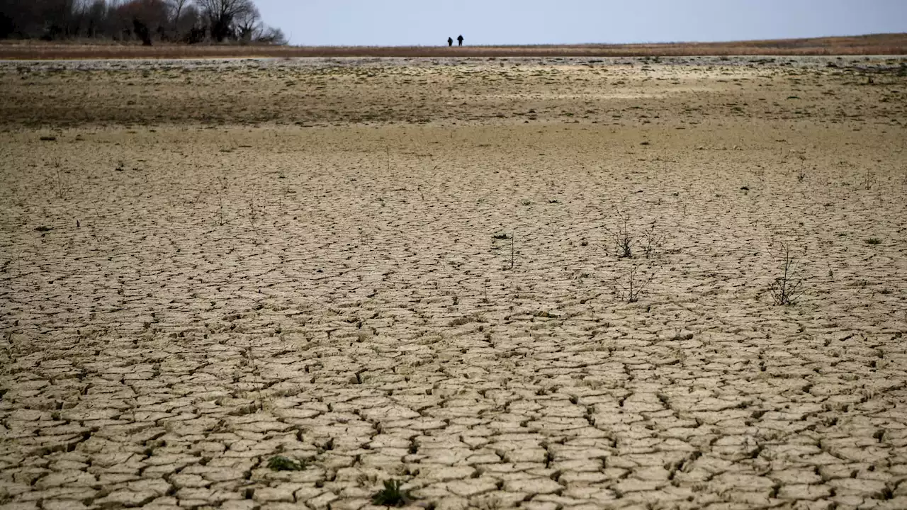 Sécheresse hivernale: la situation est-elle rattrapable en vue de l'été prochain?