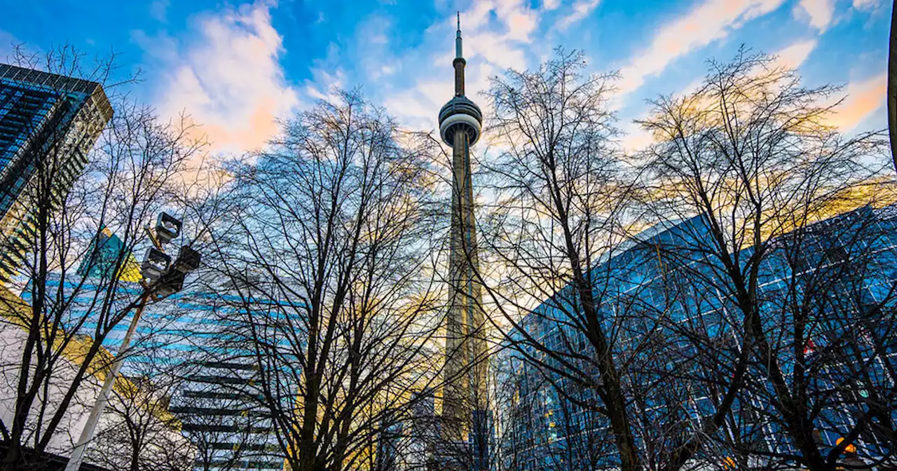 Toronto ranked one of the best Canadian cities for international students