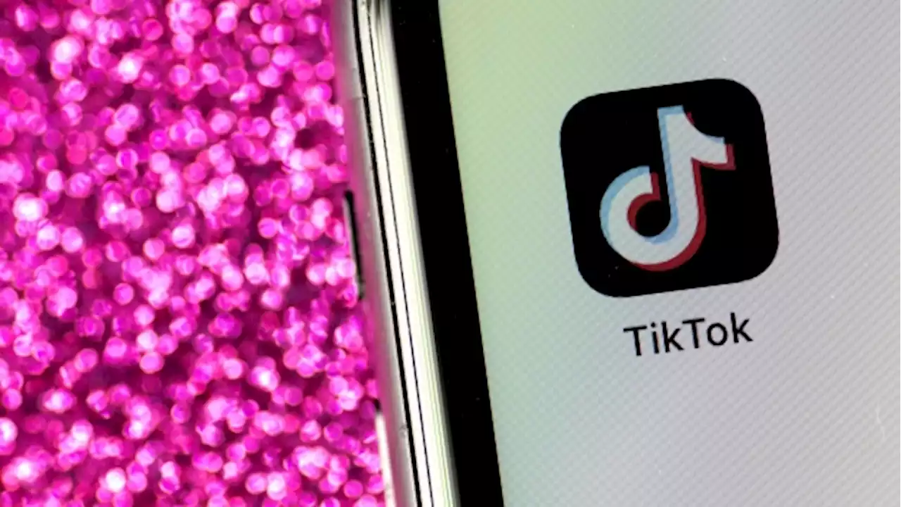 Canada joins U.S. and EU in banning TikTok from government phones - BNN Bloomberg