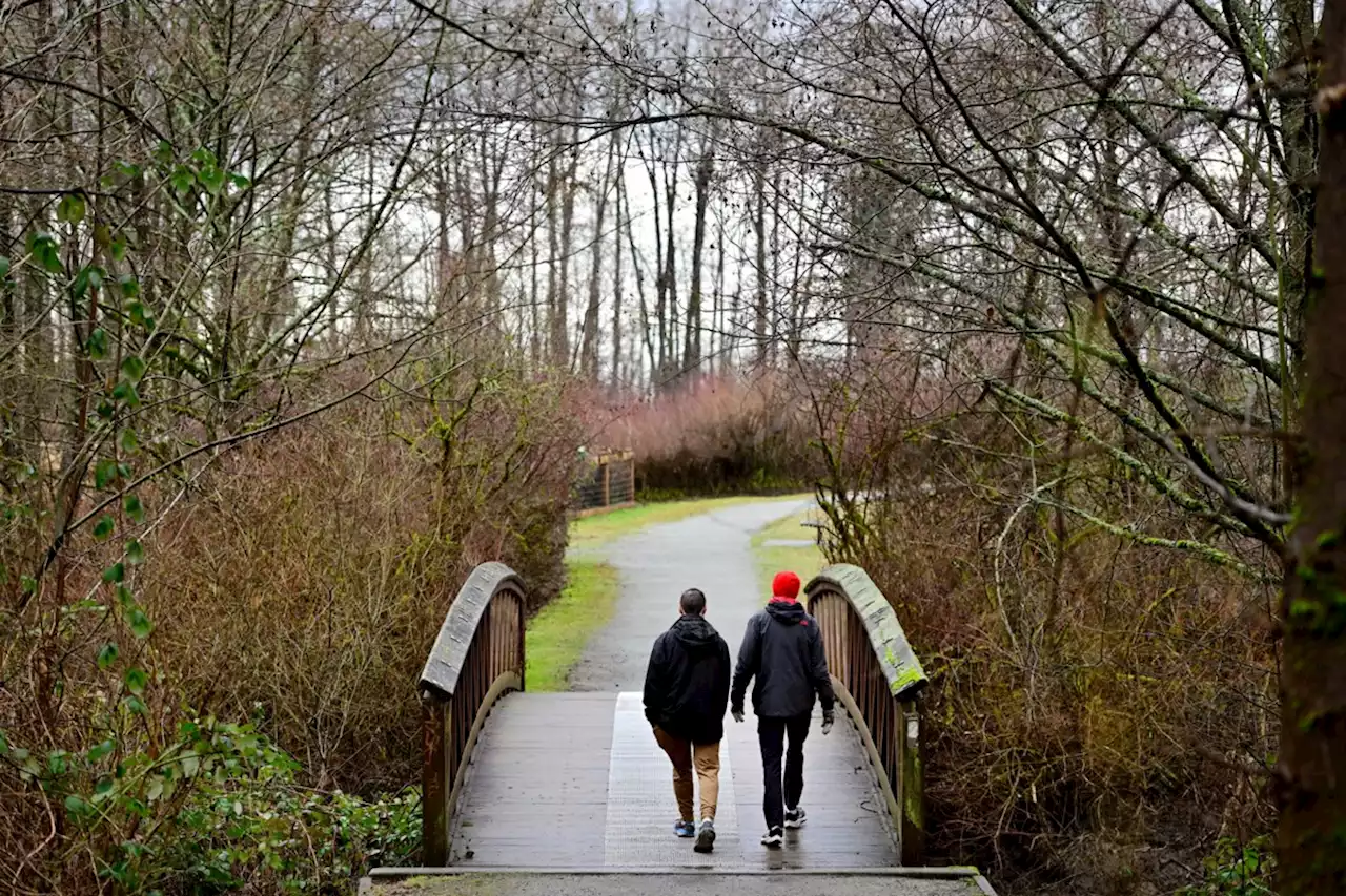 Burnaby asks voters to decide on removing 21 acres of parkland